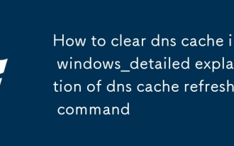 WindowsでDNSキャッシュをクリアする方法_DNSキャッシュリフレッシュコマンドの詳しい説明