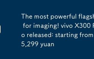 Das leistungsst?rkste Flaggschiff für Bildbearbeitung! vivo X300 Pro ver?ffentlicht: ab 5.299 Yuan