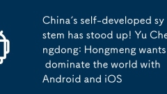 中国自研系统站起来了！余承东：鸿蒙要和安卓、iOS三分天下有其一