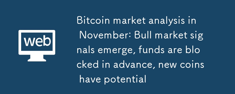 Analyse du marché Bitcoin en novembre : des signaux de marché haussier émergent, les fonds sont bloqués à l'avance, les nouvelles pièces ont du potentiel