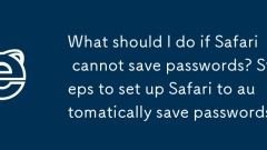 Safari가 비밀번호를 저장할 수 없으면 어떻게 해야 합니까? 비밀번호를 자동으로 저장하도록 Safari를 설정하는 단계