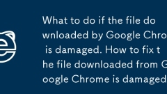 구글 크롬에서 다운로드한 파일이 손상된 경우 대처 방법. Chrome에서 다운로드한 파일이 손상되었을 때 해결 방법