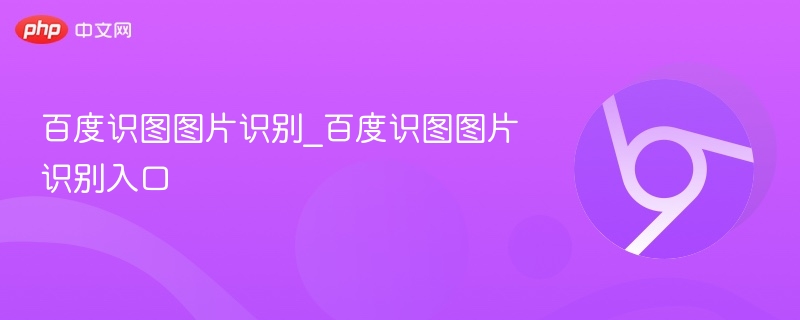 百度识图图片识别_百度识图图片识别入口 - php中文网
