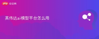 英伟达ai模型平台怎么用