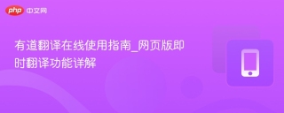 有道翻译在线使用指南_网页版即时翻译功能详解
