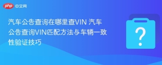 汽车公告查询在哪里查VIN 汽车公告查询VIN匹配方法与车辆一致性验证技巧