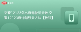 交警12123怎么查驾驶证分数 交警12123查询驾照分方法【教程】