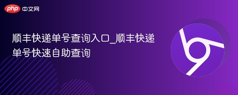 顺丰快递单号查询入口_顺丰快递单号快速自助查询 - php中文网