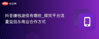 抖音赚钱途径有哪些_探究平台流量变现与商业合作方式