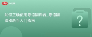 如何正确使用粤语翻译器_粤语翻译器新手入门指南