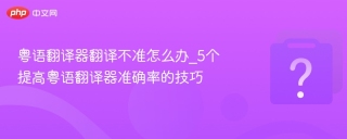 粤语翻译器翻译不准怎么办_5个提高粤语翻译器准确率的技巧