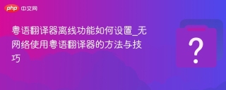 粤语翻译器离线功能如何设置_无网络使用粤语翻译器的方法与技巧