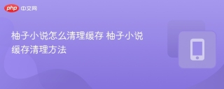 柚子小说怎么清理缓存 柚子小说缓存清理方法
