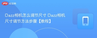 Dazz相机怎么调节尺寸 Dazz相机尺寸调节方法步骤【教程】