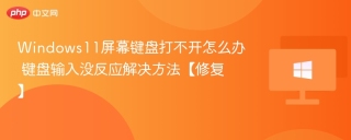 Windows11屏幕键盘打不开怎么办 键盘输入没反应解决方法【修复】