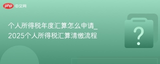 个人所得税年度汇算怎么申请_2025个人所得税汇算清缴流程