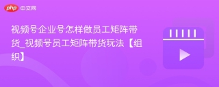 视频号企业号怎样做员工矩阵带货_视频号员工矩阵带货玩法【组织】
