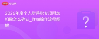 2026年度个人所得税专项附加扣除怎么确认_详细操作流程指南