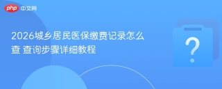 2026城乡居民医保缴费记录怎么查 查询步骤详细教程