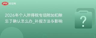 2026年个人所得税专项附加扣除忘了确认怎么办_补报方法与影响