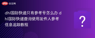 dhl国际快递只有参考号怎么办 dhl国际快递查询使用发件人参考信息追踪教程 - php中文网