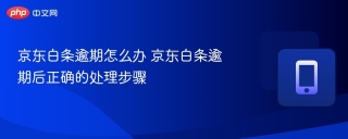 京东白条逾期怎么办 京东白条逾期后正确的处理步骤