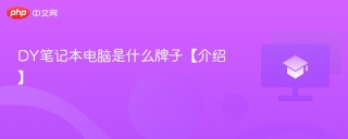 DY笔记本电脑是什么牌子【介绍】