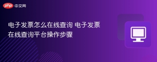 电子发票怎么在线查询 电子发票在线查询平台操作步骤