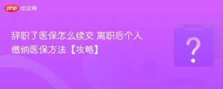 辞职了医保怎么续交 离职后个人缴纳医保方法【攻略】