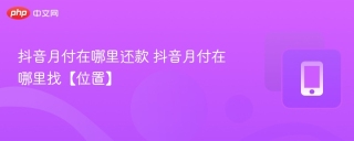 抖音月付在哪里还款 抖音月付在哪里找【位置】