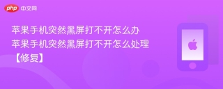 苹果手机突然黑屏打不开怎么办 苹果手机突然黑屏打不开怎么处理【修复】