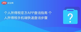 个人所得税官方APP查询指南 个人所得税手机端快速查询步骤