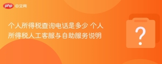 个人所得税查询电话是多少 个人所得税人工客服与自助服务说明