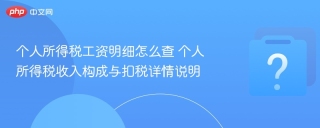 个人所得税工资明细怎么查 个人所得税收入构成与扣税详情说明