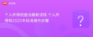 个人所得税查询最新流程 个人所得税2025年标准操作步骤