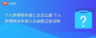 个人所得税年度汇总怎么查 个人所得税全年收入与纳税记录说明