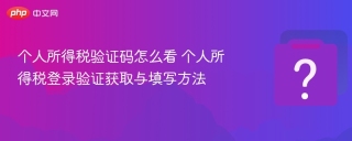 个人所得税验证码怎么看 个人所得税登录验证获取与填写方法