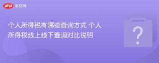 个人所得税有哪些查询方式 个人所得税线上线下查询对比说明