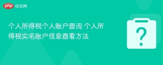 个人所得税个人账户查询 个人所得税实名账户信息查看方法
