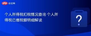 个人所得税扣税情况查询 个人所得税已缴税额明细解读