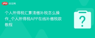 个人所得税汇算清缴补税怎么操作_个人所得税APP在线补缴税款教程