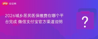 2026城乡居民医保缴费在哪个平台完成 微信支付宝官方渠道说明