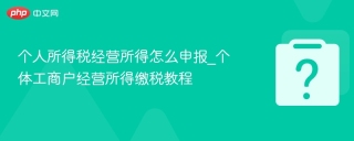 个人所得税经营所得怎么申报_个体工商户经营所得缴税教程