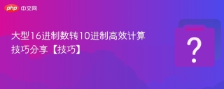 大型16进制数转10进制高效计算技巧分享【技巧】