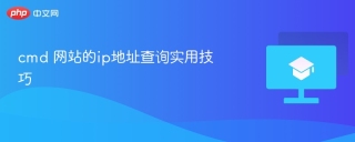 cmd 网站的ip地址查询实用技巧