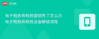 电子税务局税控盘锁死了怎么办 电子税务局税控设备解锁流程 - php中文网
