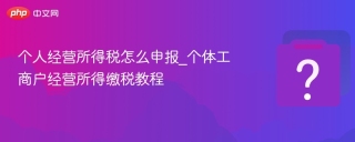 个人经营所得税怎么申报_个体工商户经营所得缴税教程