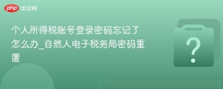 个人所得税账号登录密码忘记了怎么办_自然人电子税务局密码重置