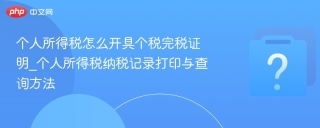 个人所得税怎么开具个税完税证明_个人所得税纳税记录打印与查询方法