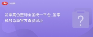 发票真伪查询全国统一平台_国家税务总局官方查验网址